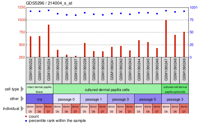 Gene Expression Profile