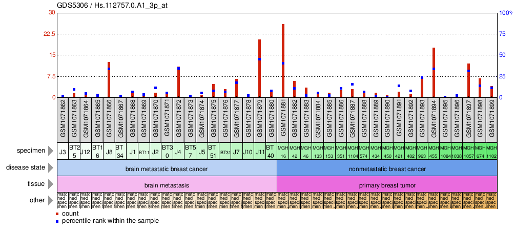 Gene Expression Profile