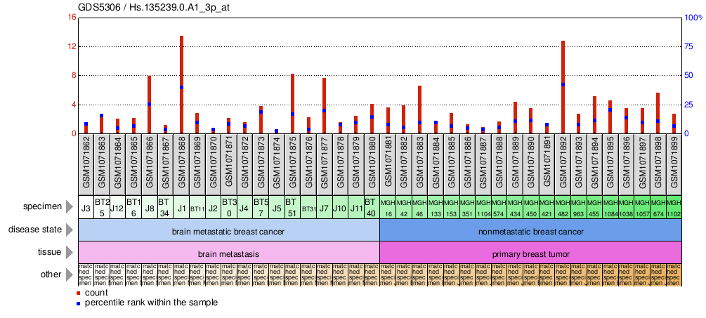 Gene Expression Profile