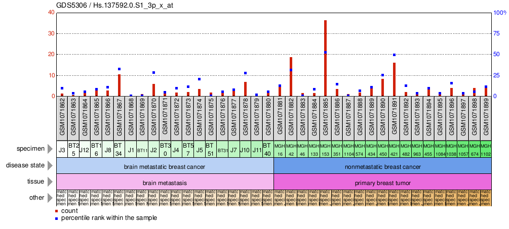 Gene Expression Profile