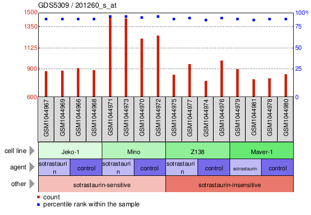 Gene Expression Profile