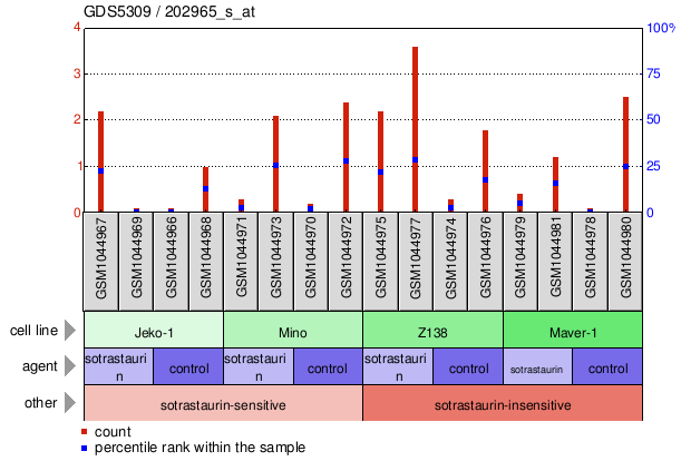 Gene Expression Profile