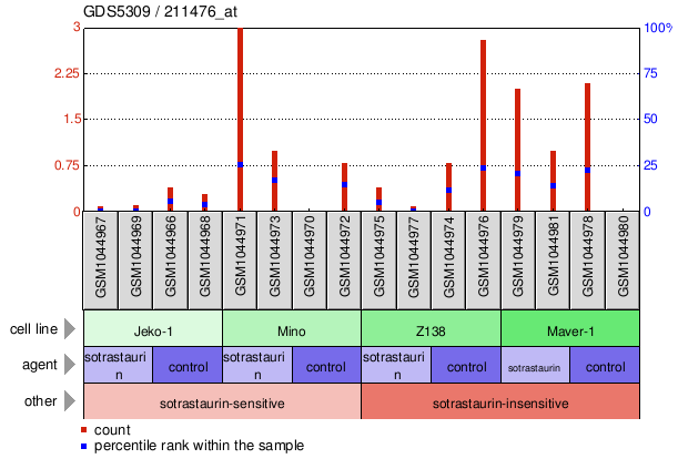 Gene Expression Profile