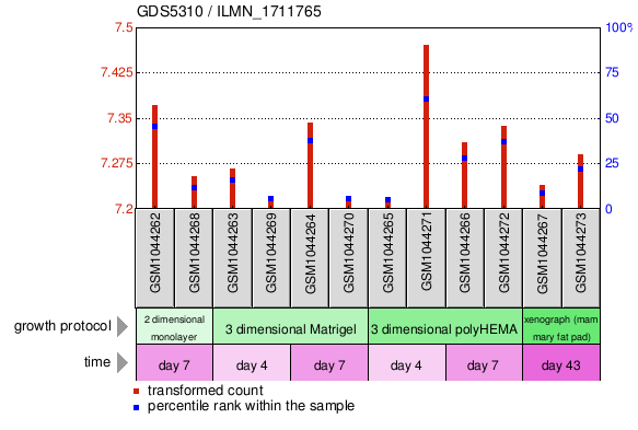 Gene Expression Profile