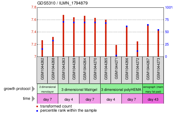 Gene Expression Profile