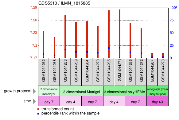 Gene Expression Profile