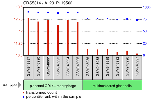 Gene Expression Profile