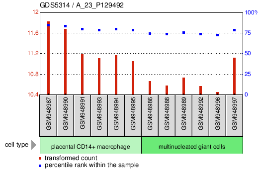 Gene Expression Profile