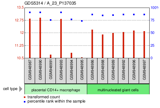 Gene Expression Profile