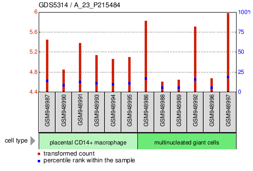 Gene Expression Profile