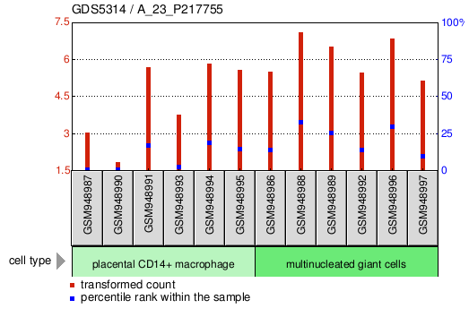 Gene Expression Profile