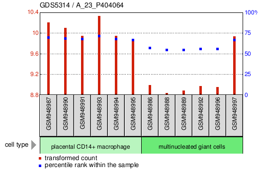 Gene Expression Profile