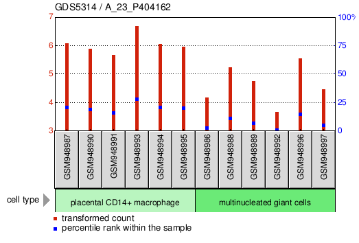 Gene Expression Profile