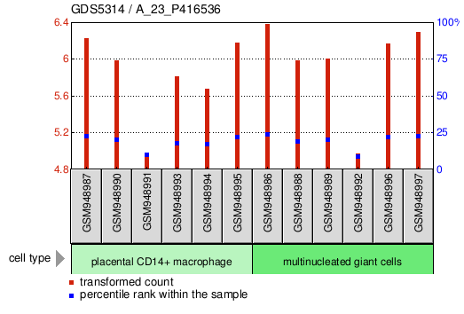 Gene Expression Profile