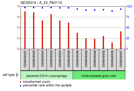 Gene Expression Profile