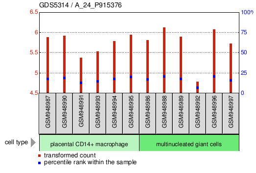 Gene Expression Profile