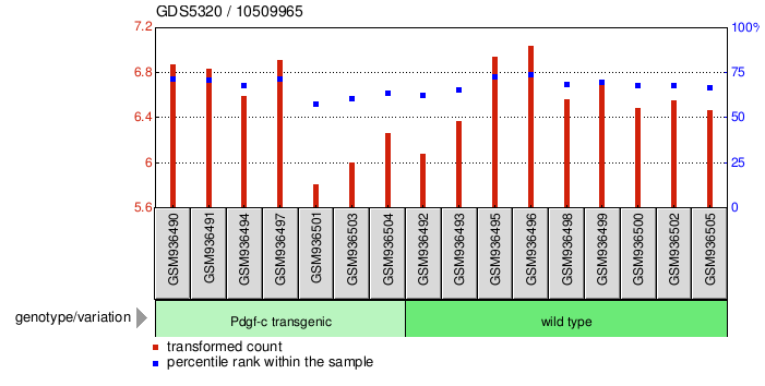 Gene Expression Profile