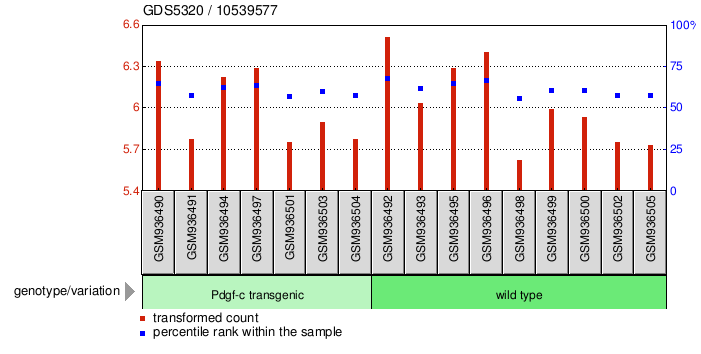 Gene Expression Profile