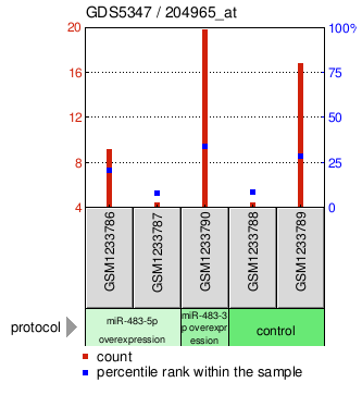 Gene Expression Profile