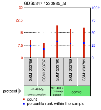 Gene Expression Profile