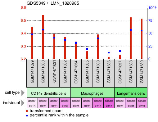 Gene Expression Profile