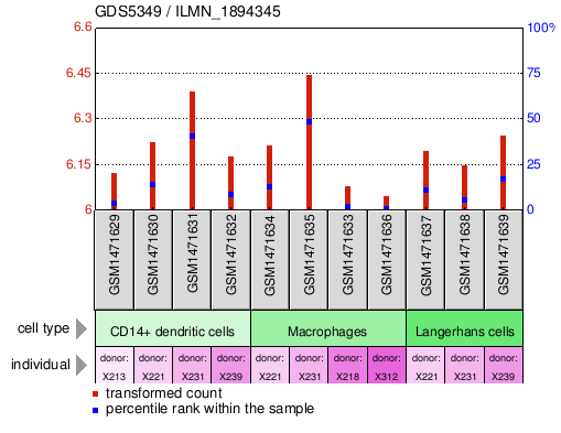 Gene Expression Profile