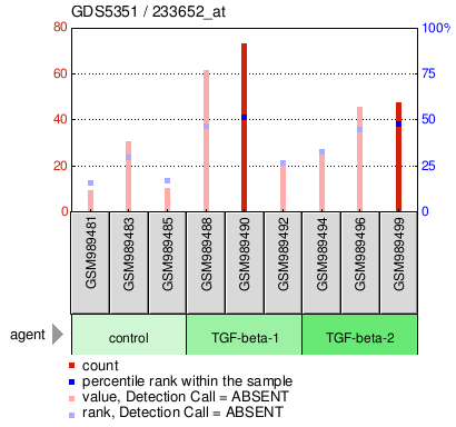 Gene Expression Profile