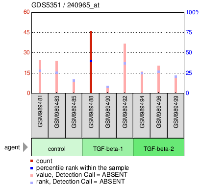 Gene Expression Profile