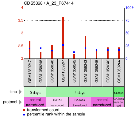 Gene Expression Profile