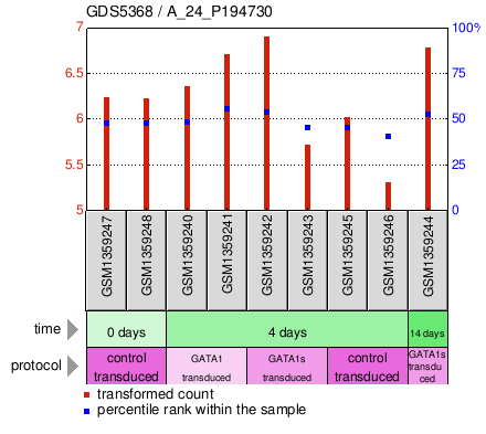 Gene Expression Profile