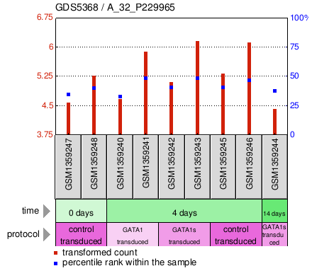 Gene Expression Profile