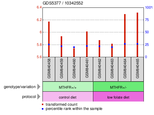 Gene Expression Profile