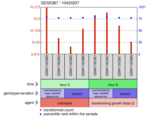 Gene Expression Profile