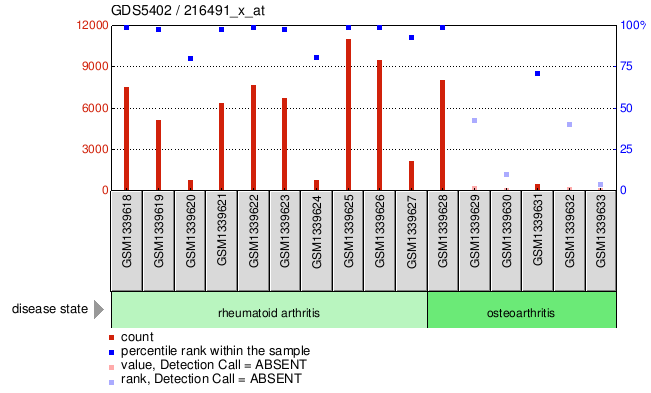 Gene Expression Profile