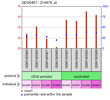 Gene Expression Profile