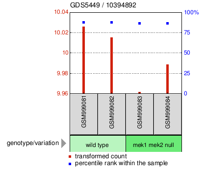 Gene Expression Profile