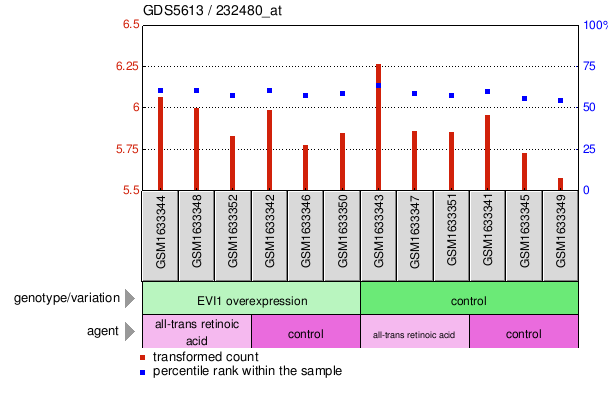 Gene Expression Profile