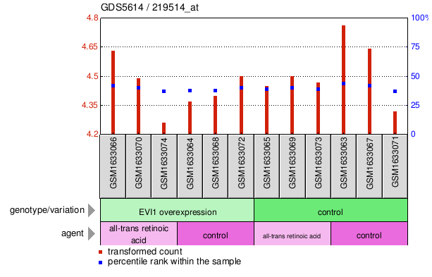 Gene Expression Profile