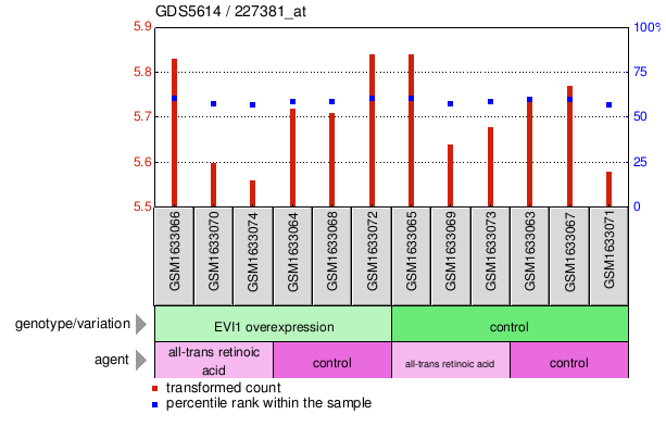 Gene Expression Profile