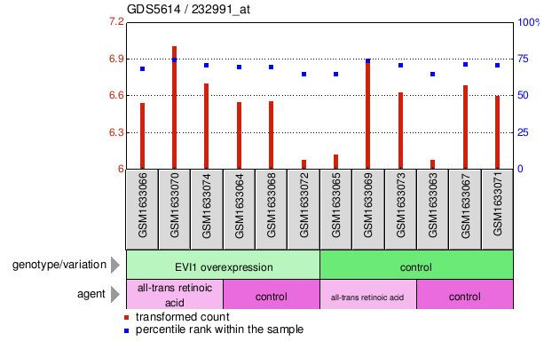 Gene Expression Profile