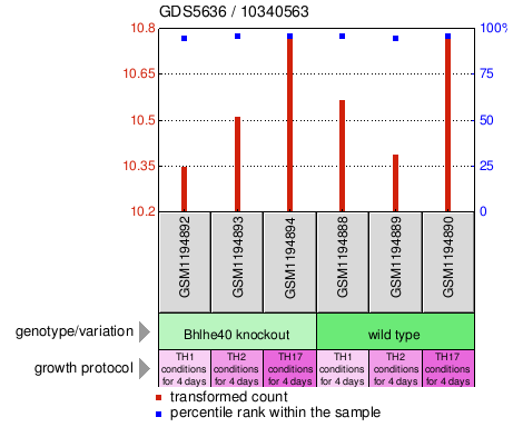 Gene Expression Profile