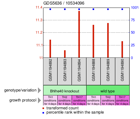 Gene Expression Profile