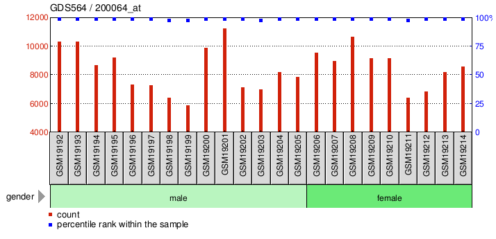 Gene Expression Profile