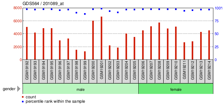 Gene Expression Profile