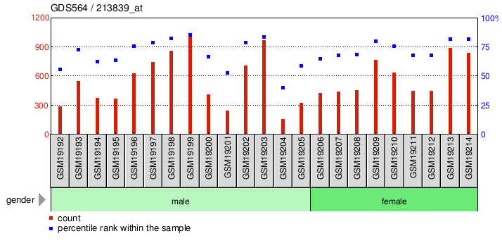 Gene Expression Profile