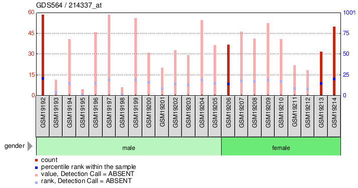 Gene Expression Profile