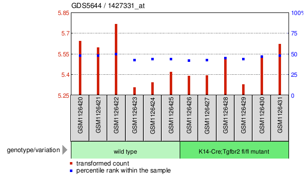 Gene Expression Profile