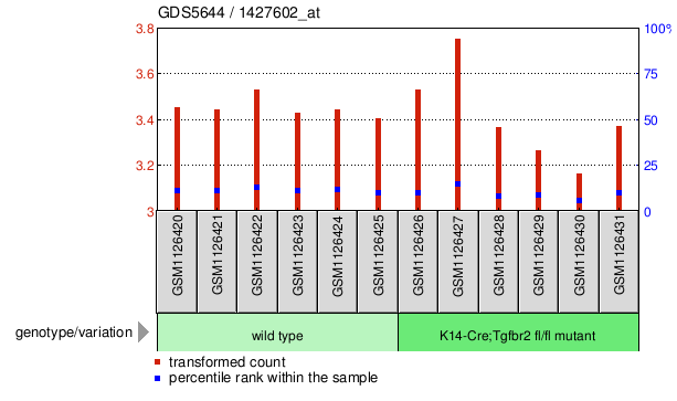 Gene Expression Profile