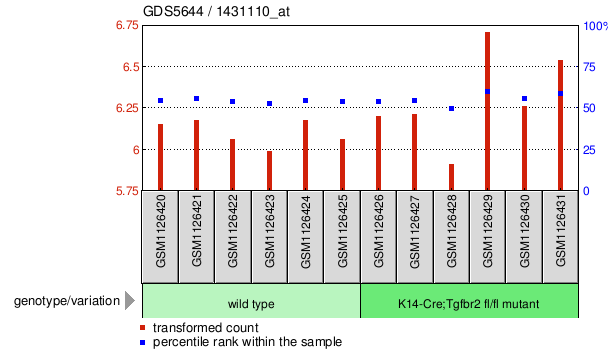 Gene Expression Profile