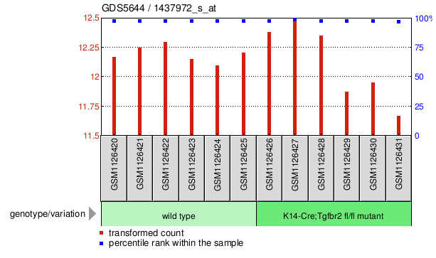 Gene Expression Profile